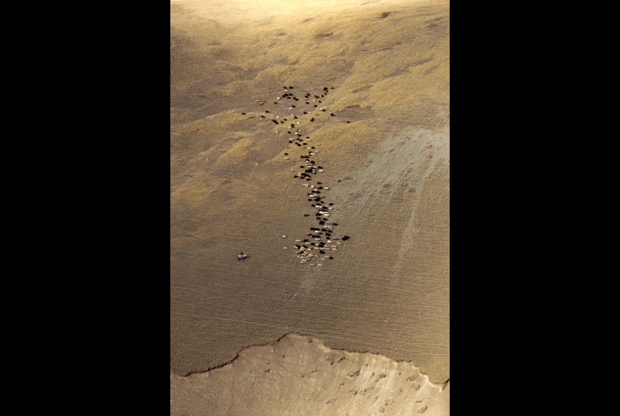 Tabula rasa. 57.5x81cm