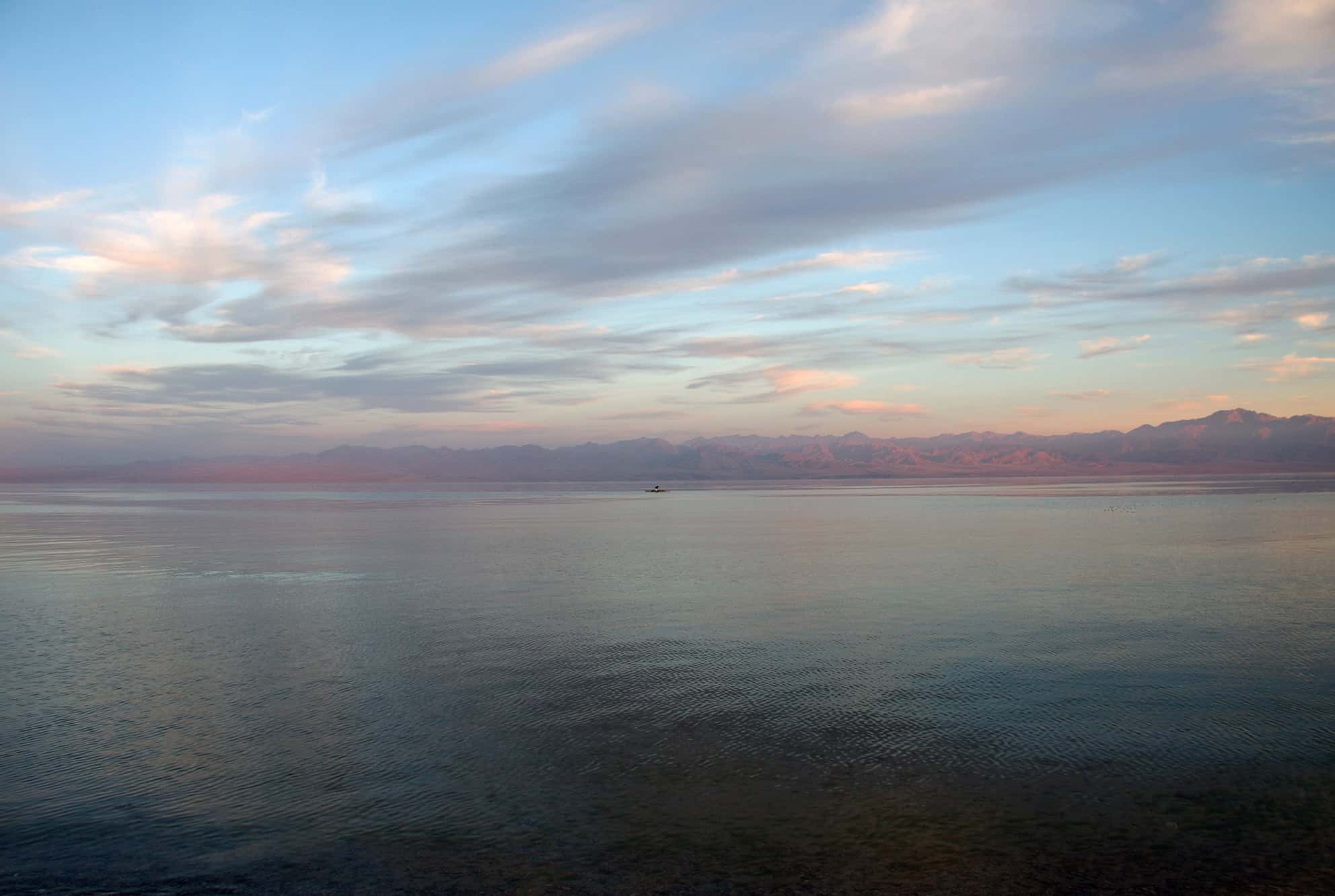 Infinitive. 79x54.5 cm