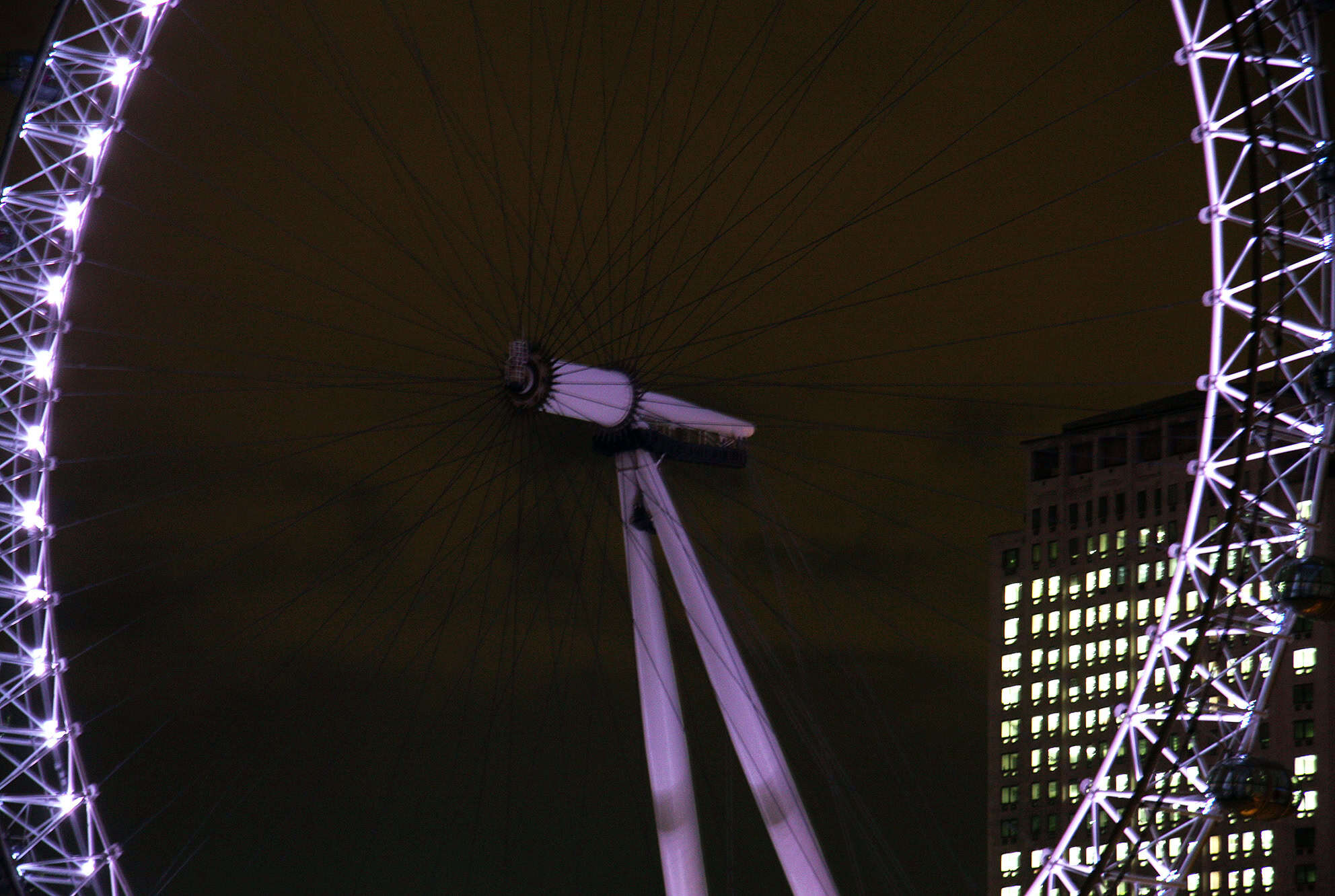 Third wheel. 76.5x52 cm