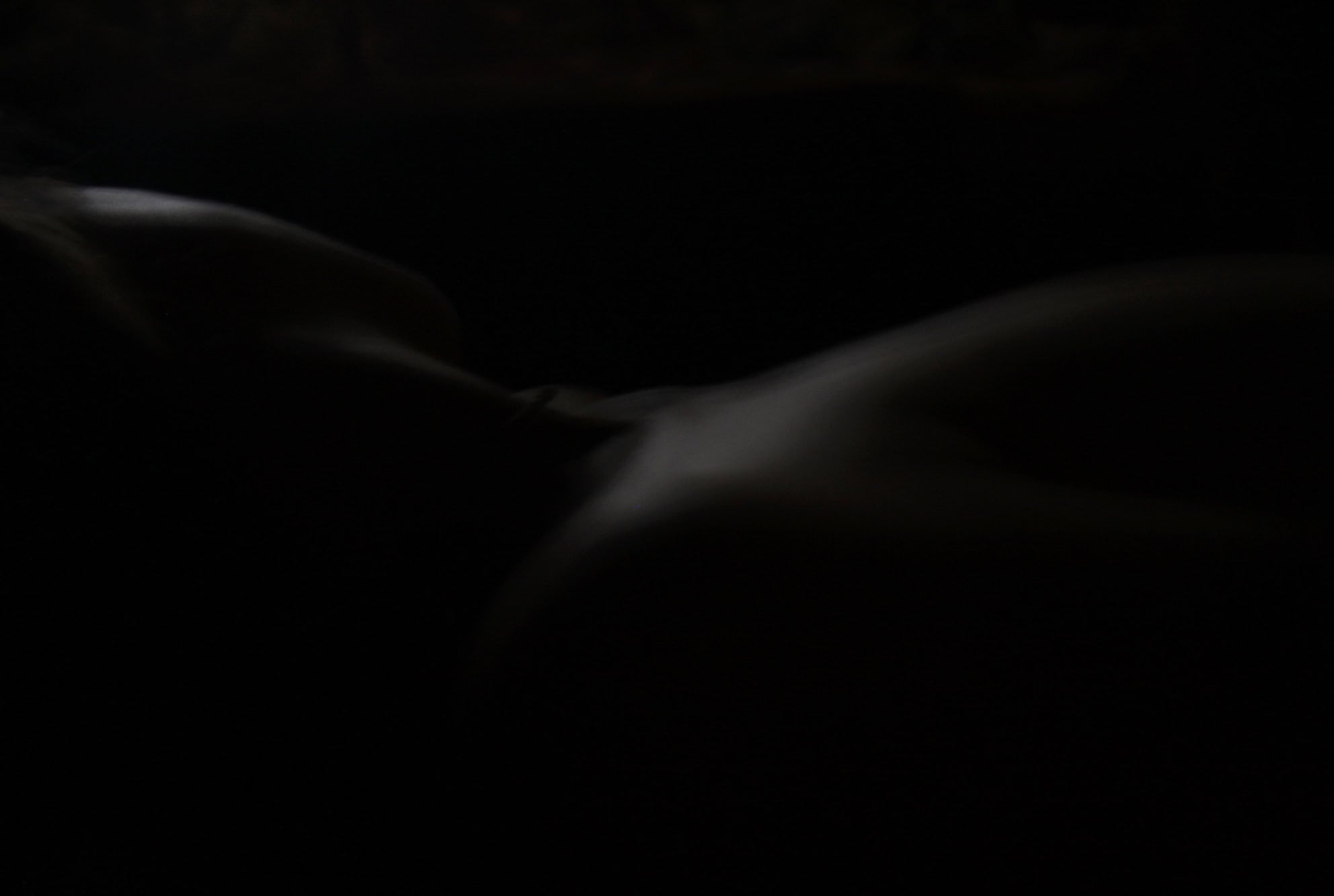 Senbatsuru. 76.5x54 cm