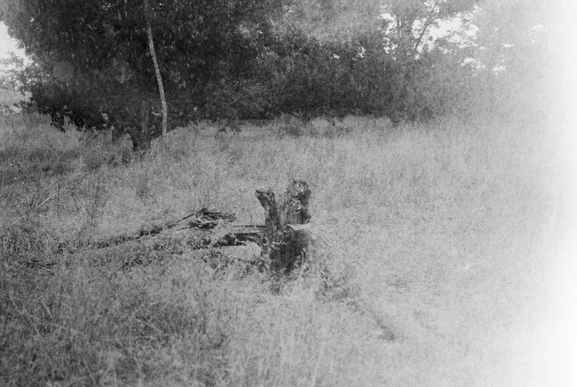 Illustration. Be’erotaim. 88x63 cm