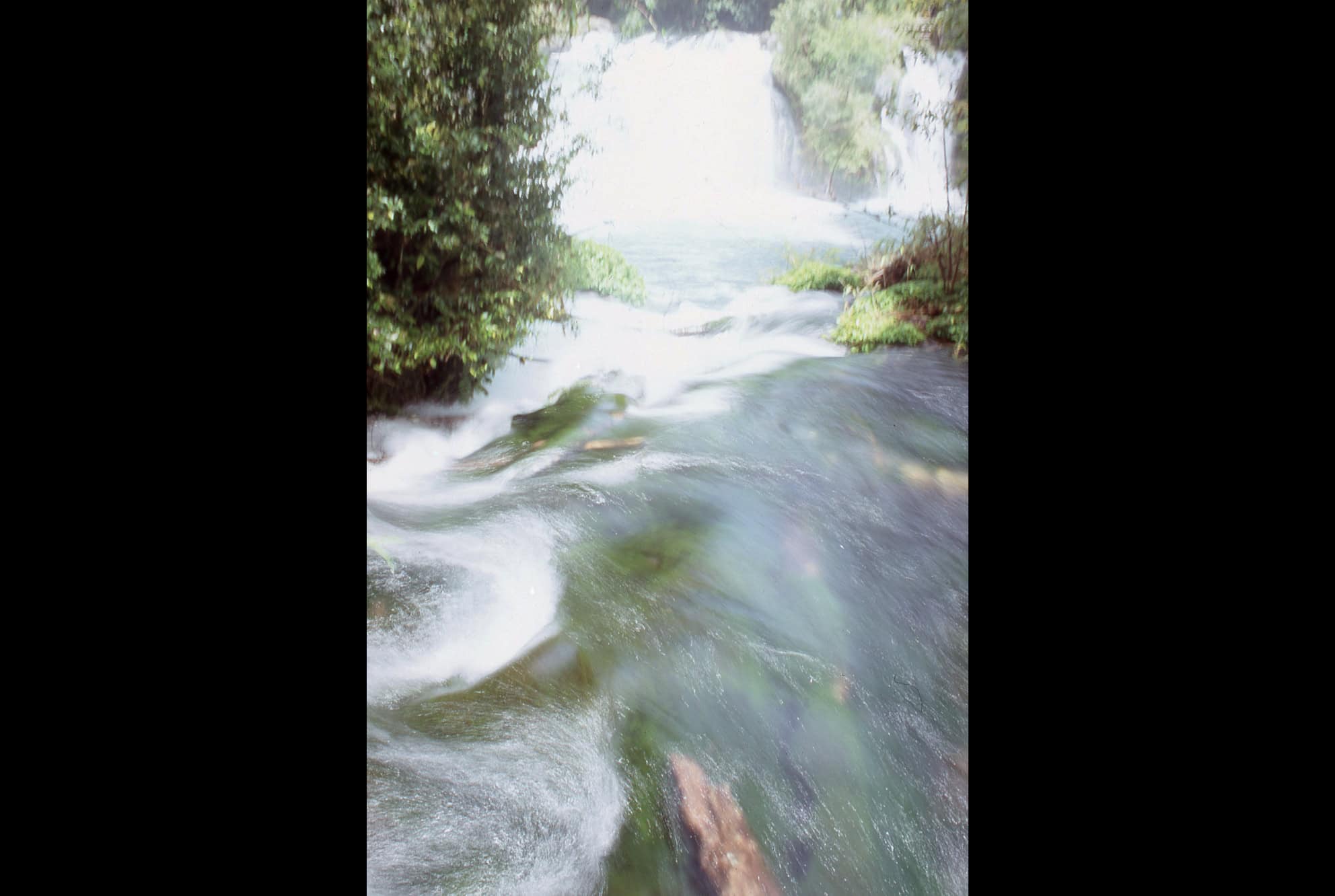 Feather's sight. 53x79 cm