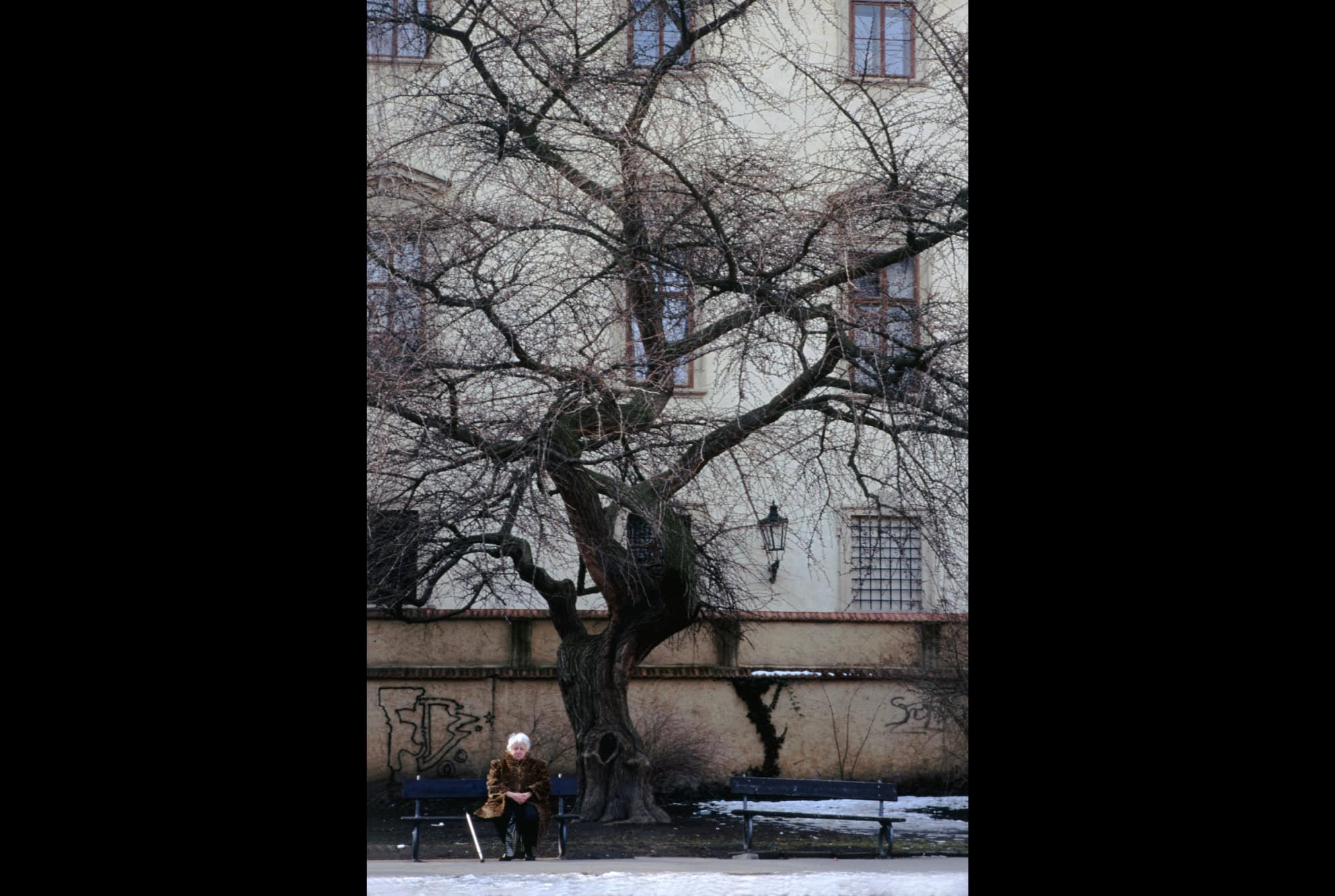 Polyhymnia. 51x76.5 cm