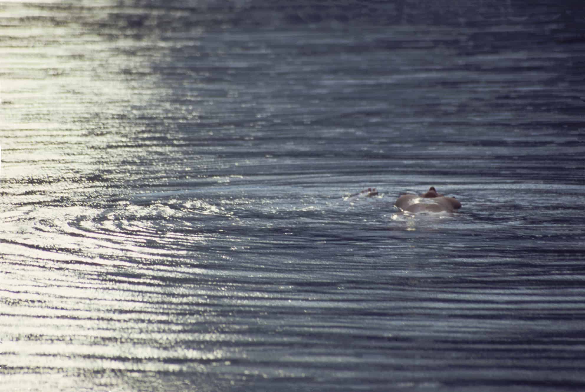 Till sunbeams finds you. 80x59 cm